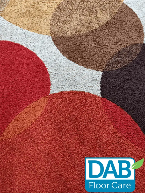 rug-clean-and-dry-dab-floor-care Rug cleaned and dried by DAB Floor Care