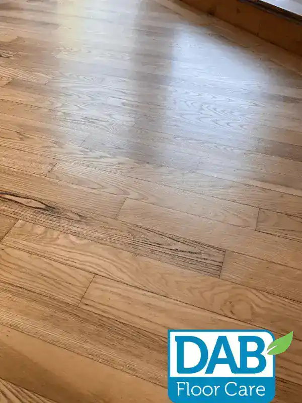Polished wooden floor with natural grain.