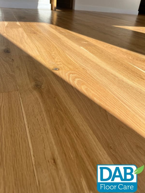 Close-up of restored oak floor grain in natural light